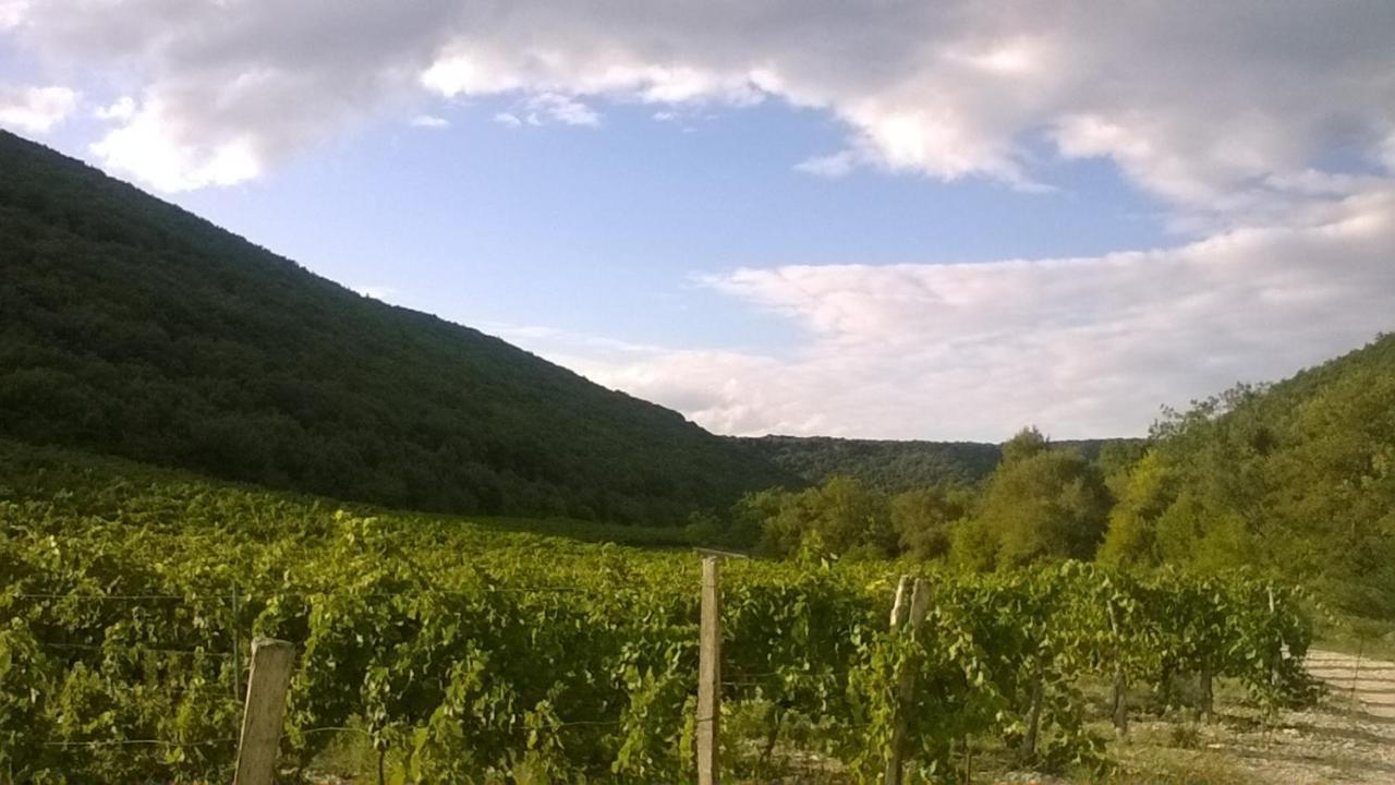 Bed and Breakfast La Dame Blanche Saint-Maurice-dʼIbie Exterior foto